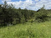 Parduodamas 82a žemės ūkio paskirties sklypas - nuotraukos Nr. 6
