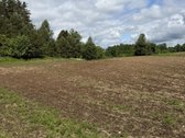 Parduodamas 82a žemės ūkio paskirties sklypas - nuotraukos Nr. 7