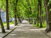 Sapiegų Dominija – išskirtiniai apartamentai - nuotraukos Nr. 48