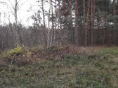 Sklypas yra vaziuojant senu Moletu - nuotraukos Nr. 4