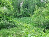 Šalia miško parduodama 1/2 namo(butas - nuotraukos Nr. 18