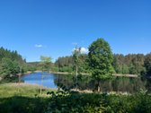 Parduodamas 0,95 ha sklypas Trakų r.,