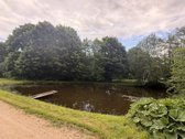 Parduodama sodyba Plungės rajone, Alsėdžių - nuotraukos Nr. 15