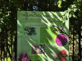 Ramybė, Gamta Ir Erdvė – Sodyba Traupio - nuotraukos Nr. 43