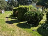 Parduodama 1/2 sodybos dalis, šalia Panevėžio - nuotraukos Nr. 12