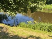 Parduodama 1/2 sodybos dalis, šalia Panevėžio - nuotraukos Nr. 15