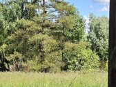 Žuvinto nacionalineme parke Marijampolės sav. - nuotraukos Nr. 10