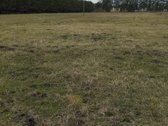 Namų Valdos Paskirties Sklypas Drevernoje - nuotraukos Nr. 5
