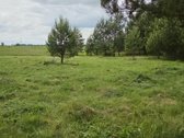 Vilniaus r. sav., Juodbalių k.