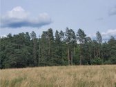 4.7ha Prie Nemuno, du sklypai 1.1ha ir 3.6ha - nuotraukos Nr. 5