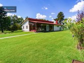 Šalia Miško, 18 Km Nutolusi Nuo Panevėžio