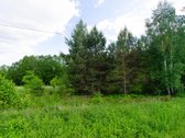 Parduodamas vaizdingas 47,85 a. žemės sklypas - nuotraukos Nr. 18