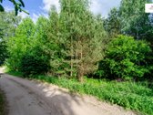 Parduodamas vaizdingas 47,85 a. žemės sklypas - nuotraukos Nr. 19