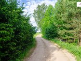 Parduodamas vaizdingas 47,85 a. žemės sklypas - nuotraukos Nr. 20