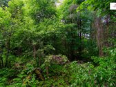 Parduodamas vaizdingas 47,85 a. žemės sklypas - nuotraukos Nr. 22