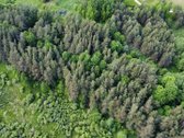 Parduodamas vaizdingas 47,85 a. žemės sklypas - nuotraukos Nr. 5