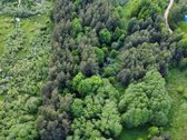 Parduodamas vaizdingas 47,85 a. žemės sklypas - nuotraukos Nr. 6