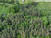 Parduodamas vaizdingas 47,85 a. žemės sklypas - nuotraukos Nr. 7