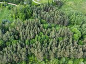 Parduodamas vaizdingas 47,85 a. žemės sklypas - nuotraukos Nr. 8