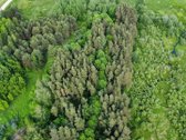 Parduodamas vaizdingas 47,85 a. žemės sklypas - nuotraukos Nr. 9