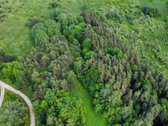 Parduodamas vaizdingas 47,85 a. žemės sklypas - nuotraukos Nr. 10