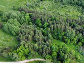 Parduodamas vaizdingas 47,85 a. žemės sklypas - nuotraukos Nr. 11