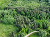 Parduodamas vaizdingas 47,85 a. žemės sklypas - nuotraukos Nr. 12