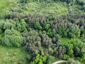 Parduodamas vaizdingas 47,85 a. žemės sklypas - nuotraukos Nr. 13