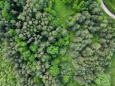 Parduodamas vaizdingas 47,85 a. žemės sklypas - nuotraukos Nr. 15