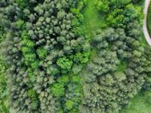 Parduodamas vaizdingas 47,85 a. žemės sklypas - nuotraukos Nr. 3