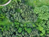 Parduodamas vaizdingas 47,85 a. žemės sklypas - nuotraukos Nr. 16