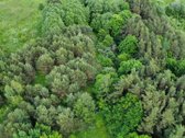 Parduodamas vaizdingas 47,85 a. žemės sklypas - nuotraukos Nr. 25