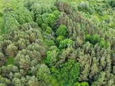 Parduodamas vaizdingas 47,85 a. žemės sklypas - nuotraukos Nr. 26