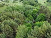 Parduodamas vaizdingas 47,85 a. žemės sklypas - nuotraukos Nr. 27