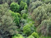 Parduodamas vaizdingas 47,85 a. žemės sklypas - nuotraukos Nr. 28