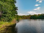 Zarasų rajone, Maniuliškių kaime, prie - nuotraukos Nr. 4