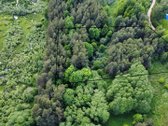 Parduodamas vaizdingas 47,85 a. žemės sklypas - nuotraukos Nr. 2