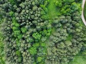 Parduodamas vaizdingas 47,85 a. žemės sklypas - nuotraukos Nr. 4