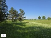 Parduodamas 4,35 ha ploto žemės sklypas - nuotraukos Nr. 2
