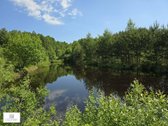 Parduodamas 4,35 ha ploto žemės sklypas - nuotraukos Nr. 3