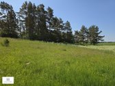 Parduodamas 4,35 ha ploto žemės sklypas - nuotraukos Nr. 8