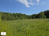 Parduodamas 4,35 ha ploto žemės sklypas - nuotraukos Nr. 9