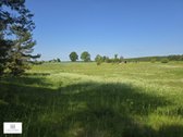 Parduodamas 4,35 ha ploto žemės sklypas - nuotraukos Nr. 10