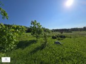Parduodamas 4,35 ha ploto žemės sklypas - nuotraukos Nr. 11
