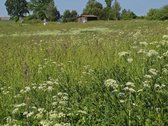 Parduodamas 4,35 ha ploto žemės sklypas - nuotraukos Nr. 12