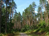 Visos Komunikacijos. Asfaltuotas Ir - nuotraukos Nr. 14