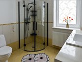 Parduodamas gyvenamasis namas Pavėsio gyv - nuotraukos Nr. 21