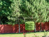 Sulėtėti kviečiantys namai Valakampiuose - nuotraukos Nr. 33