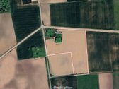 Nuomojama žemės ūkio paskirties žemė - nuotraukos Nr. 2