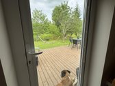 Bendras Aprašymas : - nuotraukos Nr. 21